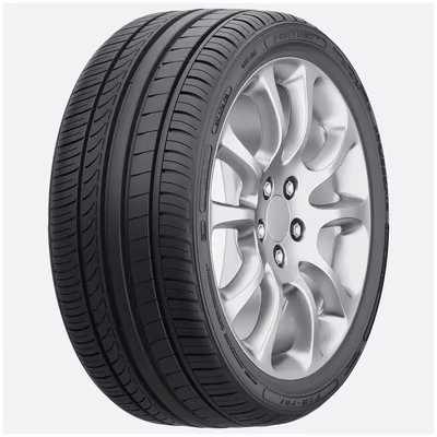 FORTUNE FSR701 225/45R18 91W RP