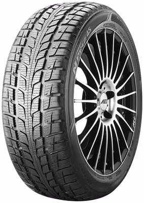 ROADSTONE N Priz 4 Seasons 205/55R16 91H 3PMSF