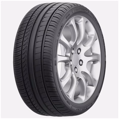 FORTUNE FSR701