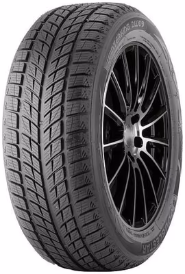 DOUBLESTAR DW09 255/55R20 107H 3PMSF RP